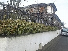 フェンスと植木伐採１.jpg