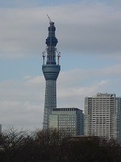 ２０１０１２月ＮＬ会スカイツリー.jpg