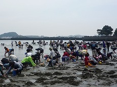 海の公園.jpg