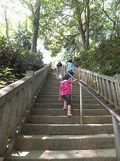 ２０１１・８月高尾山6.jpg