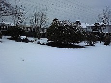 Ｉ様邸の雪.jpg